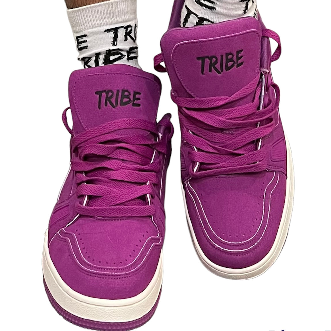 TRIBE TRAINER PG